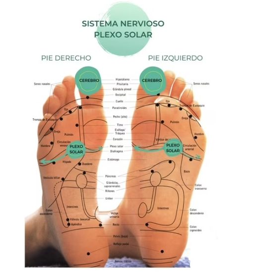 MASAJEADOR DE PIES ACUPUNTURA PLANTAR - Imagen 3